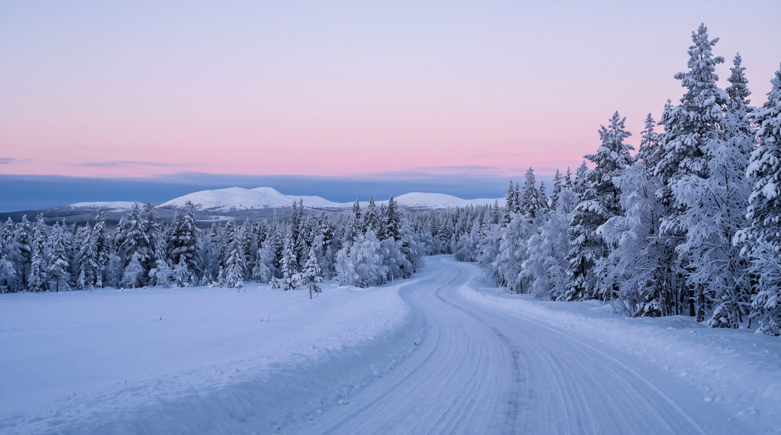 How to Plan a Lapland Elopement: The 2027 Guide