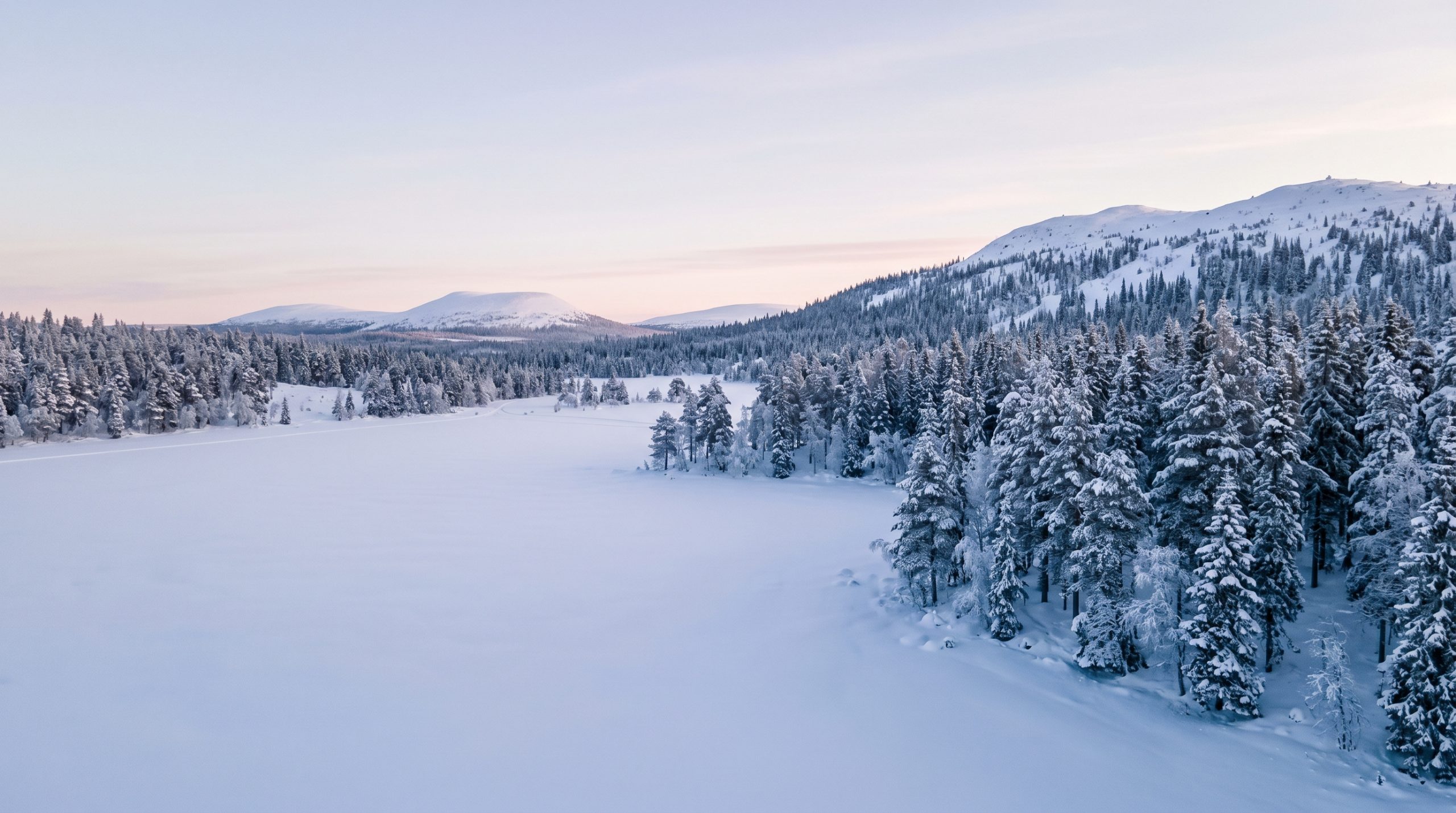 Lapland Elopement Cost in 2027: The Real Numbers
