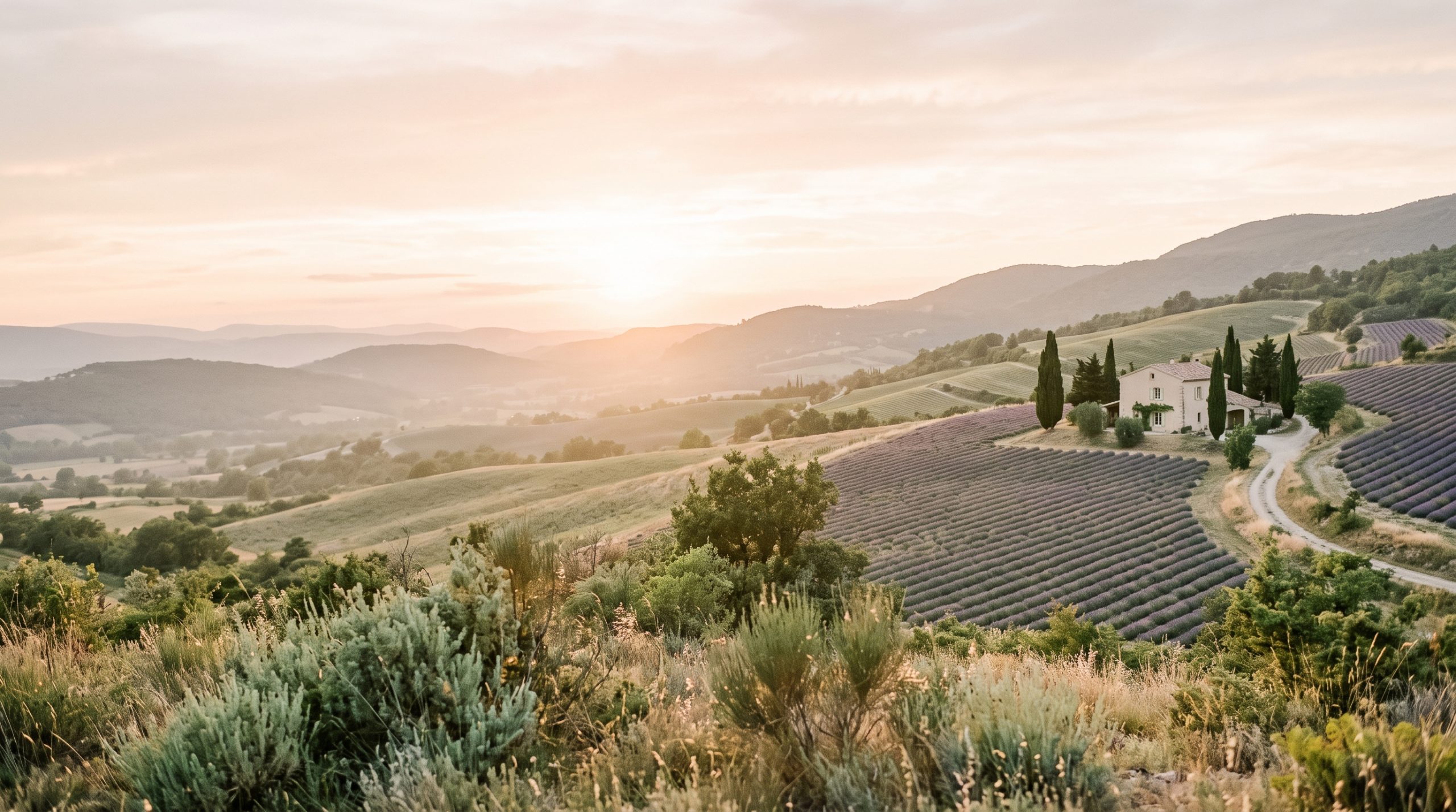 Symbolic Ceremony in Provence: Cost and How It Works